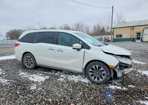 2021 Honda Odyssey Exl z USA, uszkodzony, nr VIN 5FNRL6H78MB015758